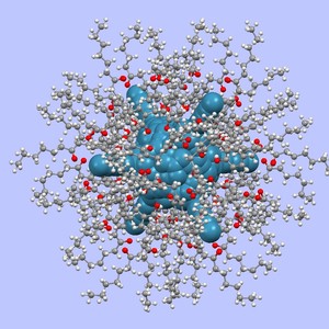 Molekularny jeż odkryty w Instytucie Chemii Fizycznej PAN w Warszawie.
Agregat o kulistej budowie składa się z 12 cząsteczek kaliksarenów.
Wewnątrz cząsteczki znajduje się duża pusta przestrzeń (zaznaczona na
niebiesko), którą w przyszłości będzie można użyć do transportowania
innych cząsteczek, np.leków. (Źródło: IChF PAN)