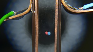 Dwie krople zawieszone w oleju, jedna pokryta czerwonymi, druga
niebieskimi drobinami, cz si w naczyniu laboratoryjnym w obecnoci pola elektrycznego. Tak powstaje kapsua Janusa. (rdo: IChF PAN, Grzegorz Krzyewski)