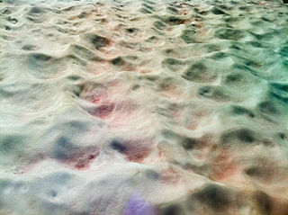Tzw. czerwony śnieg z algą niebiesko-zieloną (cyjanobakterią). Fot. Peretz Partensky, Wikimedia