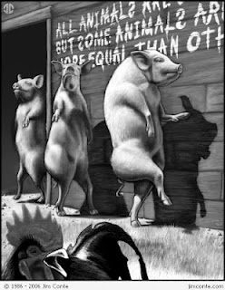 animal1.jpg