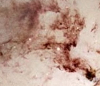 Bóg Ojciec w purpurowym płaszczu i tiarze na swym niebiańskim tronie, u dołu jego korona. Fragment obrazu Jana van Eyka — Adoracja Baranka Mistycznego z XV w.