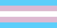 Flaga transseksualistów